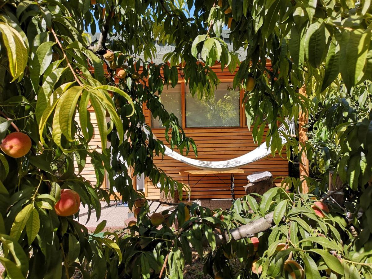 Relax Eaza - Casa Cu Hamac Constança Exterior foto